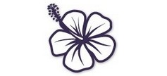 Dewdrops Early Learning - Moreland - Sunshine Coast Child Care 0