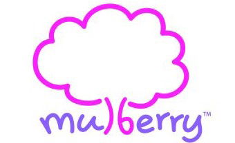 Mulberry Early Learning Centre - Sunshine Coast Child Care 0
