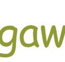 Bungawitta Child Care Centre - Sunshine Coast Child Care