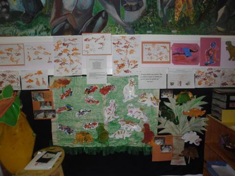 Tiny Tots Early Learning Centre - Sunshine Coast Child Care 1