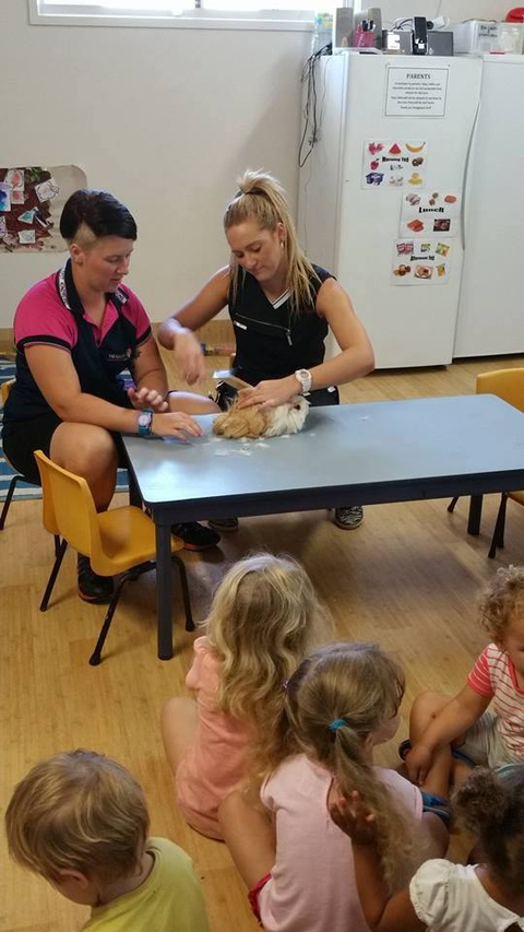 Snugglepot Kindyland - Sunshine Coast Child Care 9