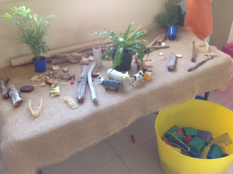 Mackay Family Day Care - Sunshine Coast Child Care 3