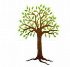 Kadina Child Care Centre - Sunshine Coast Child Care