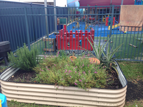 Lollipop Lane - Sunshine Coast Child Care 3