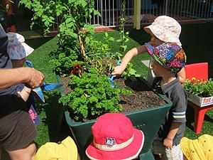 Noosaville Child Care & Preschool Centre - Sunshine Coast Child Care 2