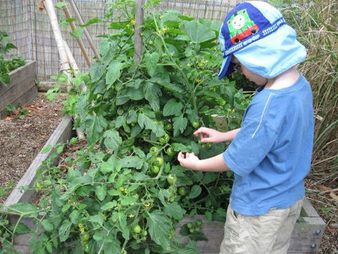 Parklands Community Preschool (Kariong) - Sunshine Coast Child Care 6