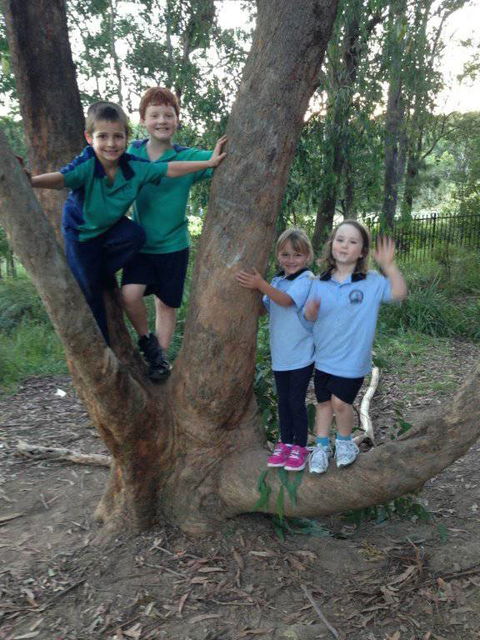 Merewether Heights OOSH & Vacation Care - Sunshine Coast Child Care 15