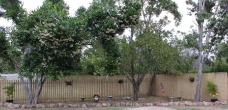 Jensen Early Learning Centre - Sunshine Coast Child Care 4