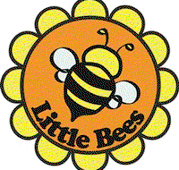 Little Bees Childcare - Sunshine Coast Child Care