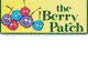 Berry Patch Preschool - Child Care Sunshine Coast