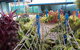 Mackay Child Care Centre - thumb 2