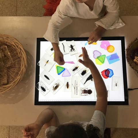 Kindisaurus Child Care Centre - Sunshine Coast Child Care 0