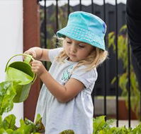 Nido Early School Pennington - Sunshine Coast Child Care