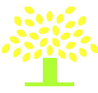 Conyngham Street Community Childcare Centre - Sunshine Coast Child Care