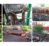 Willmore Kindergarten  Preschool - Sunshine Coast Child Care
